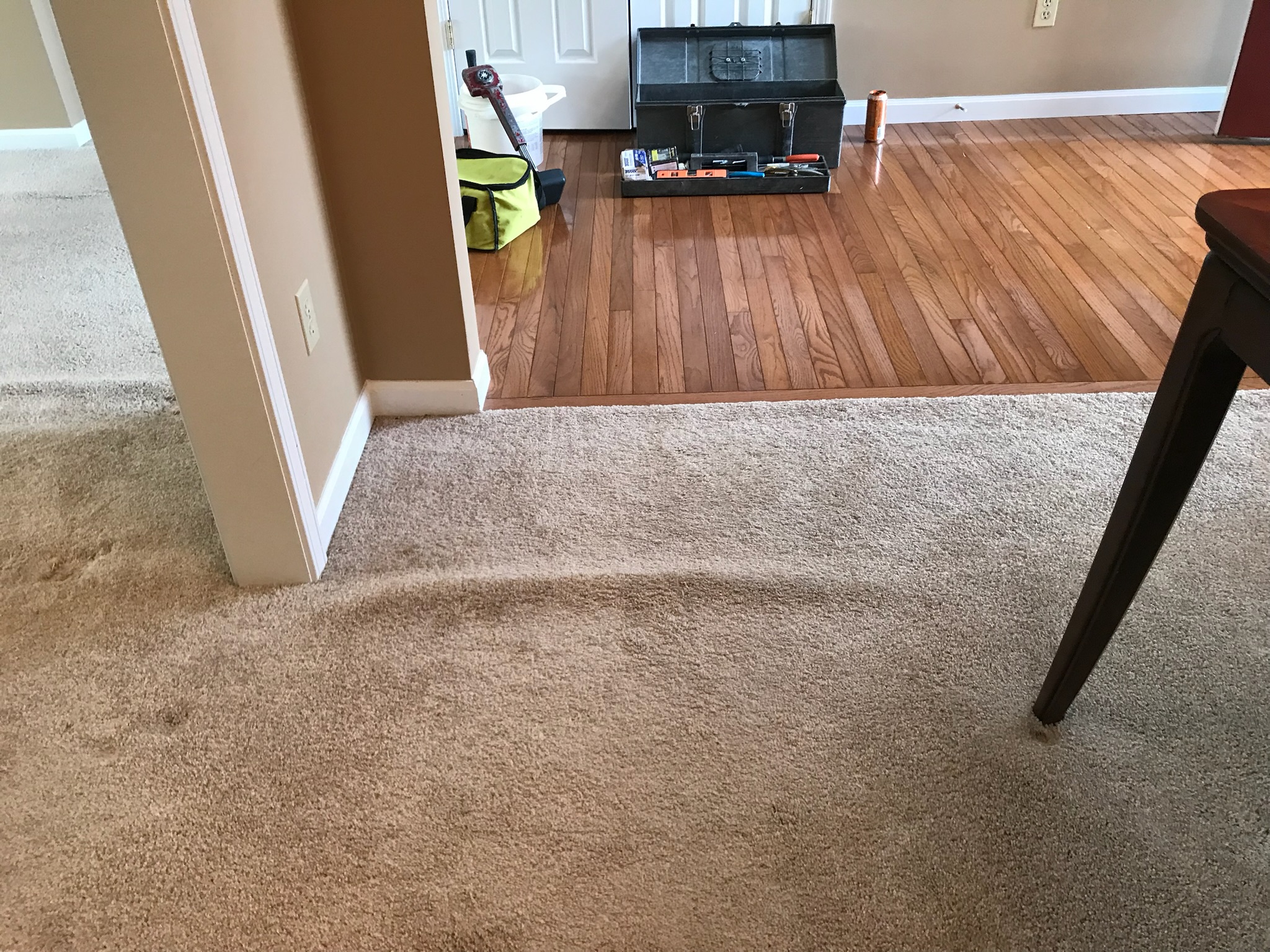 carpet cleaning