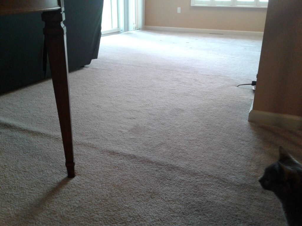carpets